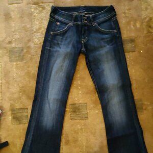 Hudson Jeans (low rise, flare)